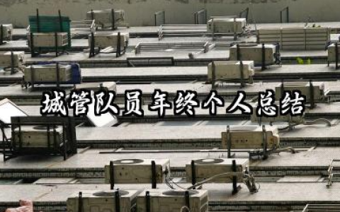 城管年终个人工作总结 城管队员年终个人总结