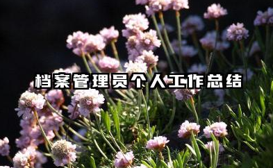 档案管理个人工作总结 档案管理员个人工作总结