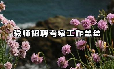 教师招聘考察个人总结 教师招聘考察工作总结