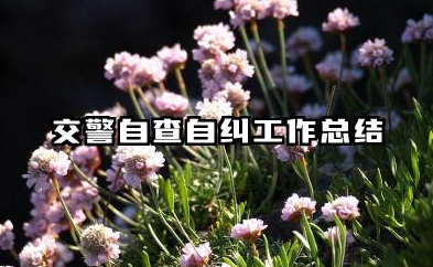 交警自查自纠个人总结 交警自查自纠工作总结