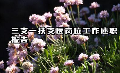 三支一扶支医个人总结 三支一扶支医岗位工作述职报告
