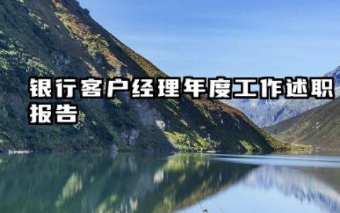 个人客户经理工作总结 银行客户经理年度工作述职报告