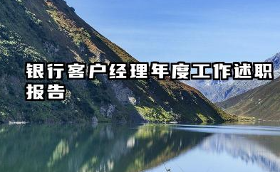 个人客户经理工作总结 银行客户经理年度工作述职报告