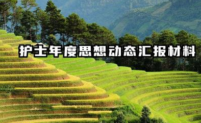 护士个人思想工作总结 护士年度思想动态汇报材料