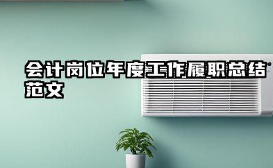 财务会计个人工作总结 会计岗位年度工作履职总结范文