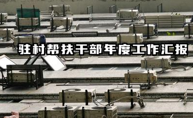 驻村队员个人工作总结 驻村帮扶干部年度工作汇报