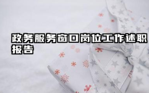 服务窗口个人工作总结 政务服务窗口岗位工作述职报告