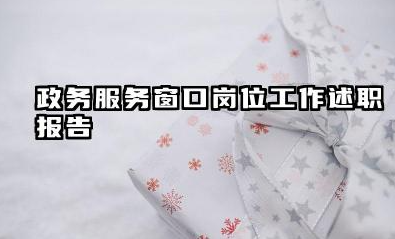 服务窗口个人工作总结 政务服务窗口岗位工作述职报告