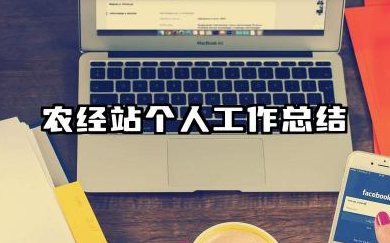 农经站个人工作总结 农经站工作人员个人总结​