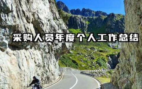 采购年度个人工作总结 采购人员年度个人工作总结​