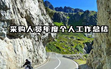 采购年度个人工作总结 采购人员年度个人工作总结​