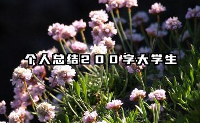 个人总结 200 字大学生 大学生 200 字个人总结​