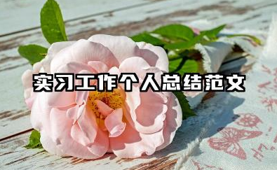 实习个人总结范文 实习工作个人总结范文