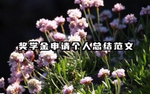 奖学金申请表个人总结 奖学金申请个人总结范文