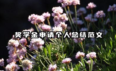 奖学金申请表个人总结 奖学金申请个人总结范文