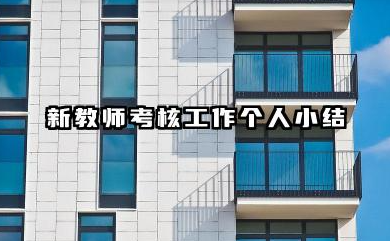 新教师考核个人总结 新教师考核工作个人小结