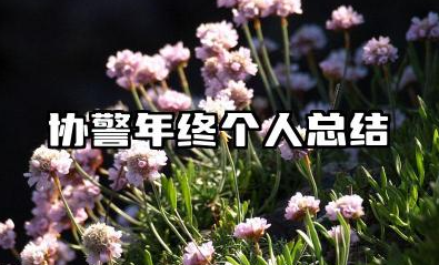 协警年终个人总结 协警年终工作个人鉴定报告