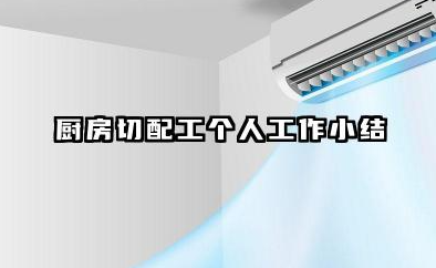 厨房切配个人总结 厨房切配工个人工作小结