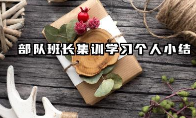 部队班长集训个人总结 部队班长集训学习个人小结