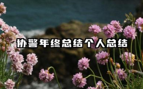 协警年终总结个人总结 协警年度个人工作小结