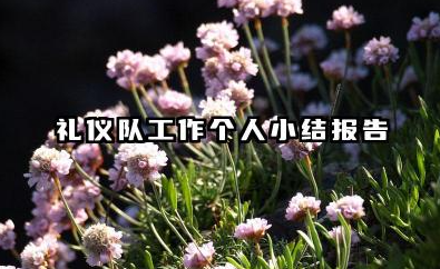 礼仪队个人总结 礼仪队工作个人小结报告