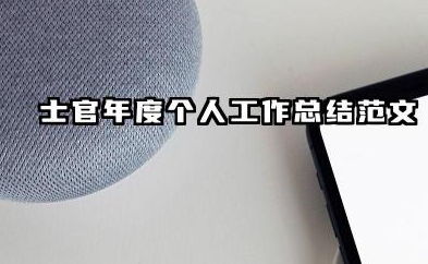 士官年终总结个人总结 士官年度个人工作总结范文