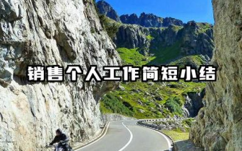 简短的销售个人工作总结 销售个人工作简短小结