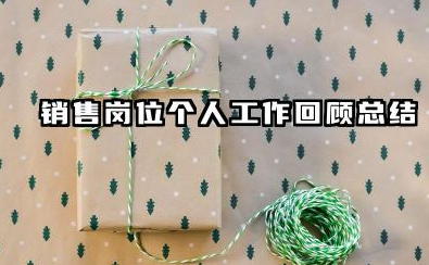 销售人员个人工作总结 销售岗位个人工作回顾总结