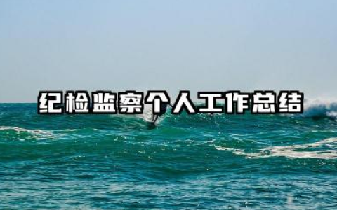 纪检工作人员个人总结 纪检监察个人工作总结