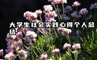 大学社会实践个人总结 大学生社会实践心得个人总结