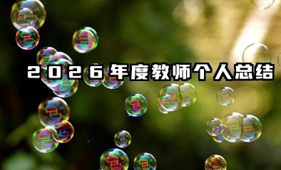 教师个人工作总结 2026 2026年度教师个人总结