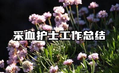 采血护士个人总结 采血护士工作总结