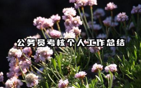 公务员考核个人工作总结 公务员考核总结