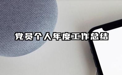 党员个人年度工作总结 党员年度个人总结