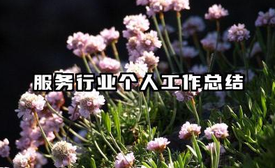 服务行业个人工作总结 服务行业工作总结