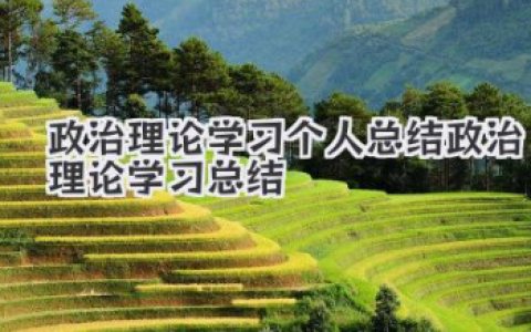 政治理论学习个人总结 政治理论学习总结