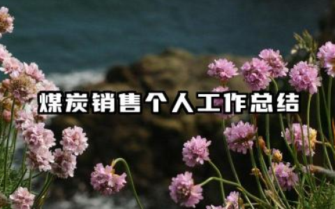 煤炭销售个人工作总结 煤炭销售岗位个人工作总结
