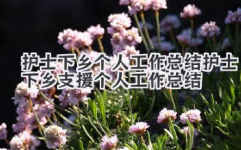 护士下乡个人工作总结 护士下乡支援个人工作总结