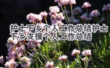 护士下乡个人工作总结 护士下乡支援个人工作总结