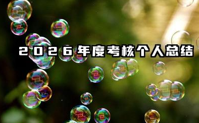 2026年度考核个人总结 2026年度个人考核总结