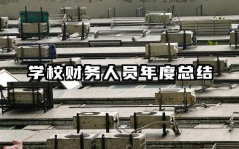 学校财务个人工作总结 学校财务人员年度总结
