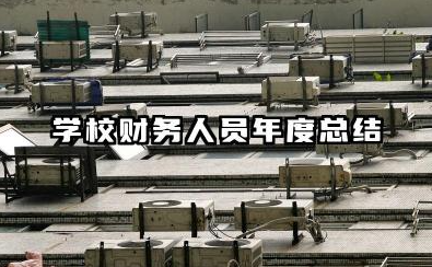 学校财务个人工作总结 学校财务人员年度总结