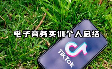 电子商务实训个人总结 电商实训个人总结范文