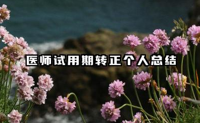 医生试用期满个人总结 医师试用期转正个人总结