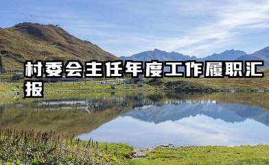 村主任个人总结 村委会主任年度工作履职汇报