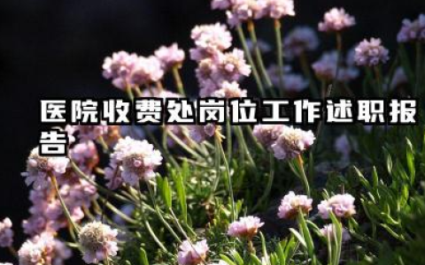 医院收费员个人工作总结 医院收费处岗位工作述职报告