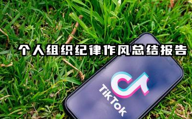 组织纪律表现个人总结 个人组织纪律作风总结报告