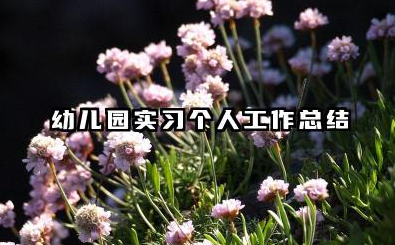 幼儿园实习个人工作总结 幼儿园实习总结大全