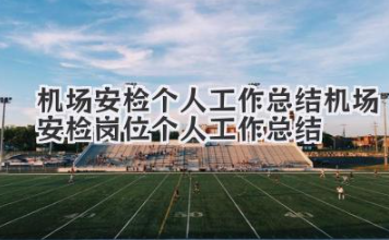 机场安检个人工作总结 机场安检岗位个人工作总结