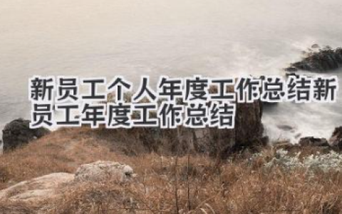 新员工个人年度工作总结 新员工年度工作总结